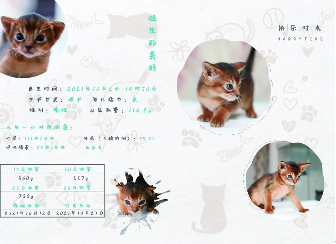 WX20211215-141654@2x.png